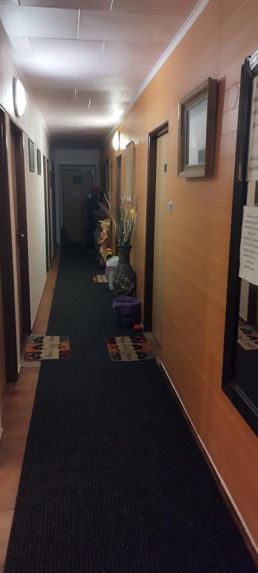 Drevenka Hotel Provodin Bagian luar foto